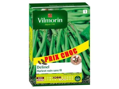 Vilmorin 1149564 Pack de Graines Haricot Delinel Obtention
