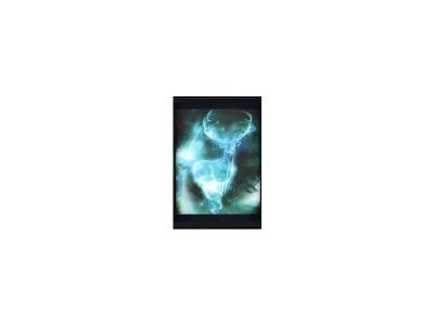 Pyramid International HARRY POTTER - 3D Lenticular Poster 26X20 - Exp