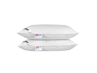 Lot de 2 oreillers naturels en plumes et duvet de canard, 50 x 75 cm