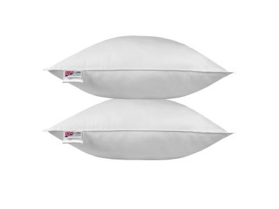 Homescapes oreiller en plumes de canard 80 x 80 cm - lot de 2 DP1232