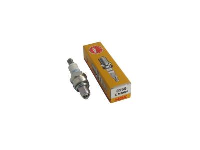 JARDIN PRATIC Bougie d'allumage pour tondeuse NGK CMR6H