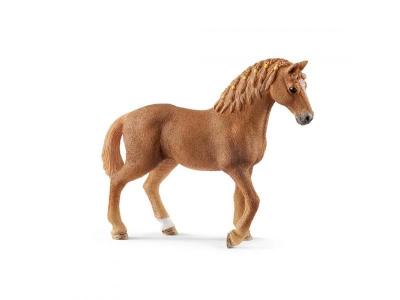 Jument Quarter horse 