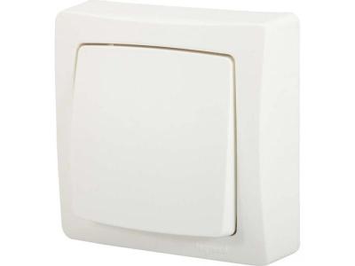 Double interrupteur va-et-vient saillie complet, LEGRAND Asl, blanc