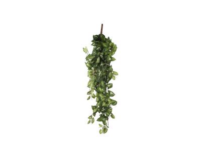 Chute de Fittonia artificiel 80 x 30 x h.15 cm