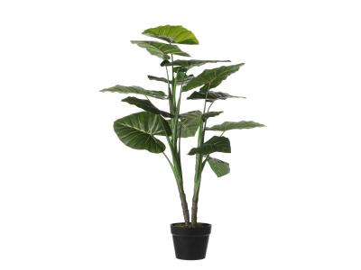 Plante Artificielle Taro - H100 x &Oslash;70 cm - Mica Decorations