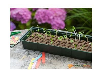 Nature Kit de mini propagateur 4x16 cellules