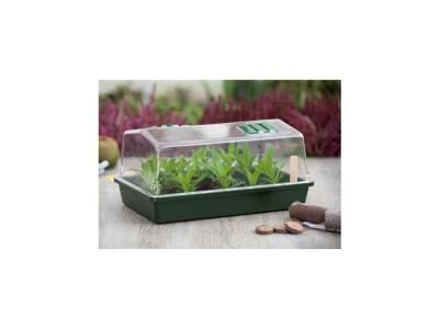 Mini serre terrine et couvercle ventil&eacute; 37x24x18 xm (Lot de 2)