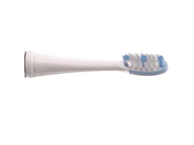 Panasonic WEW0929 - T&ecirc;te de brosse de rechange - pour brosse &agrave; dent