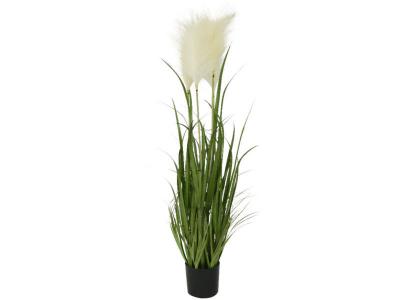 Plante Artificielle Herbes Pampas En Pot Plastique - &Oslash; 40 x 100 cm