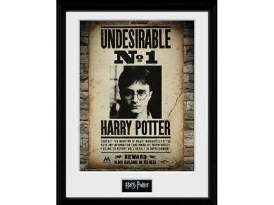 GB eye HARRY POTTER - Collector Print 30X40 - Undesirable No1- - Cadr