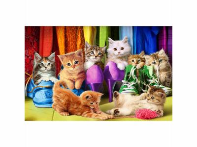 EuroGraphics Puzzle 1000 pi&egrave;ces Chaton Pride, EG60005543, Coloris Assortis