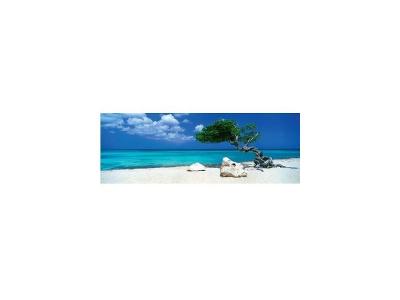 Heye - Heye-29399 - Puzzle Classique - Divi Tree - 1000 Pi&egrave;ces