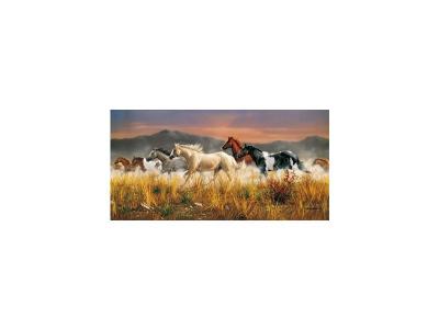 Clementoni puzzle Puzzle Band of Thunder 13200 pi&egrave;ces 