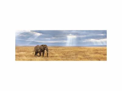 Clementoni puzzle QG Panorama - 1000 pi&egrave;ces perdues 