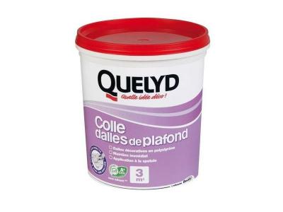 Colle rev&ecirc;tements pour murs et plafonds 1kg Quelyd 
