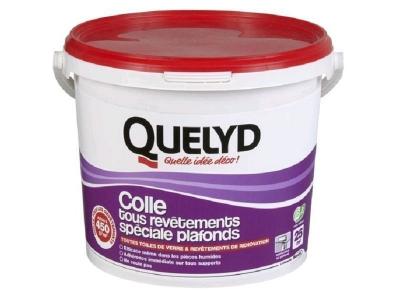 Quelyd Colle tous Rev&ecirc;tements Sp&eacute;ciale Plafonds - P&acirc;te - Seau de 6 kg