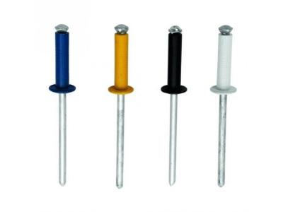 Rapid 5000403 Rivets Automobile 4 couleurs &Oslash;4 x 16mm
