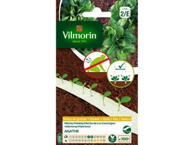 VILMORIN Ruban m&eacute;lange graines de M&acirc;che AGATHE - 2 x 2,5 m