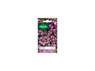 Vilmorin 5125342 Alysse, Violet, 90 x 2 x 160 cm