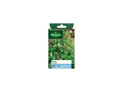 Vilmorin 5872246 Pack de Graines Basilic Cannelle