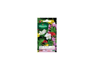 Vilmorin 5165541 Belle de Nuit vari&eacute;e, Multicolore, 90 x 2 x 160 cm