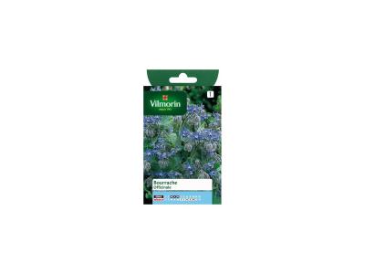 Bourrache Officinale - Vilmorin
