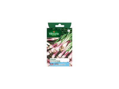 Vilmorin - Sachet graines Ciboule commune rouge