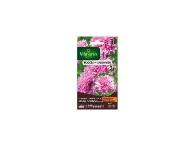 Vilmorin - Cosmos Double Click rose bonbon - SDJ