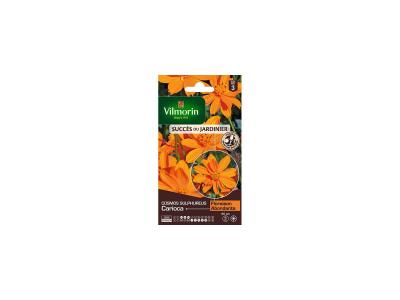Vilmorin - Sachet graines Cosmos Sulphureus Mini Orange / Carioca