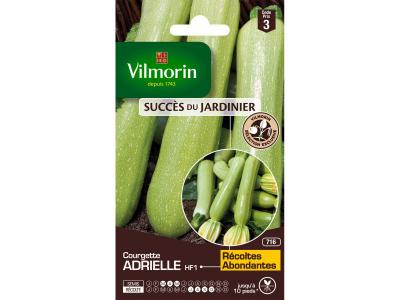 Vilmorin - Courgette Adrielle HF1 (Cr&eacute;ation ) - sdj