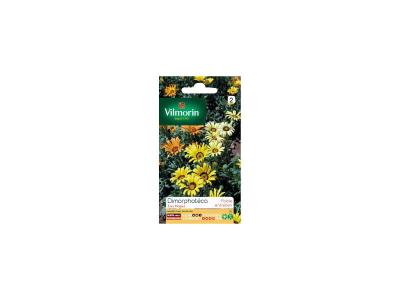 Vilmorin - Sachet graines DImorphoteca Las Vegas