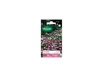 Vilmorin - Sachet graines Fico&iuml;de Tapis magique