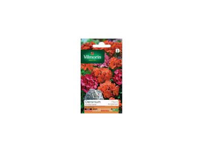 Vilmorin - Sachet graines G&eacute;ranium Cricket Vari&eacute;