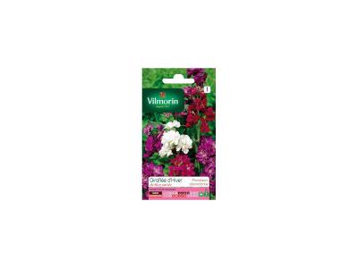 Vilmorin - Sachet graines Girofl&eacute;e d'hiver de nice vari&eacute;e