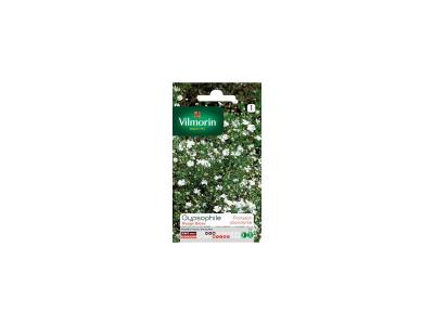 Vilmorin - Sachet graines Gypsophile nuage blanc