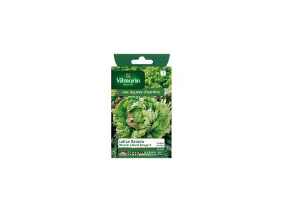 Vilmorin - Sachet graines Laitue Batavia Blonde &agrave; bord rouge 5