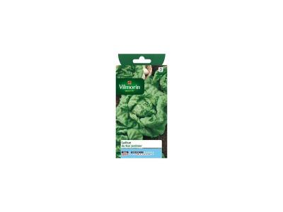 Graines de Laitue Pomm&eacute;e du Bon Jardinier