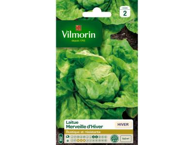 Graines de Laitue Pomm&eacute;e Merveille d'Hiver Vilmorin