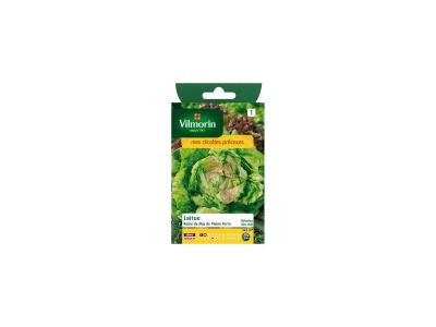 Vilmorin - Sachet graines Laitue Reine de Mai de pleine terre