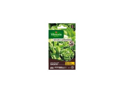 VILMORIN Sachet graines de Laitue Pomm&eacute;e SAGESS
