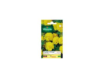 Vilmorin 5442141 &OElig;illet, Jaune, 90 x 2 x 160 cm