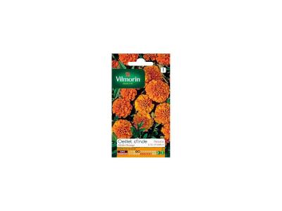 Vilmorin - Sachet graines Oeillet d'Inde Globe orange