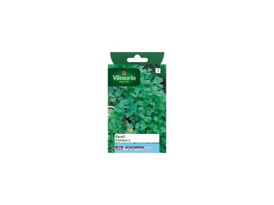 Vilmorin - Persil Commun 2 officinal