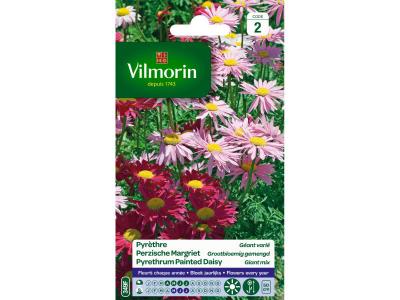 Vilmorin - Pyrethre g&eacute;ant vari&eacute;