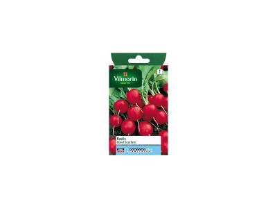 Vilmorin - Radis ronds &eacute;carlate