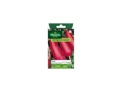 Graines de Radis Rose d'Hiver de Chine Vilmorin