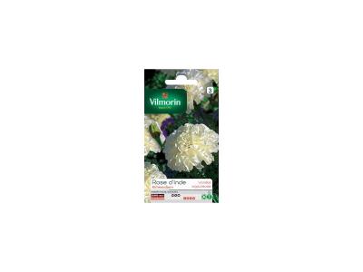 Vilmorin - Sachet graines Rose d'inde Kilimandjaro