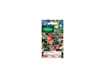 Vilmorin - Sachet graines Rose Tr&eacute;mi&egrave;re Pastorale