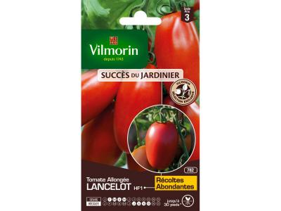 VILMORIN Tomate Lancelot HF1 Sachet de graines - Obtention Vilmorin