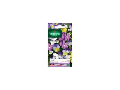 Viola Cornuta vari&eacute;e Vilmorin